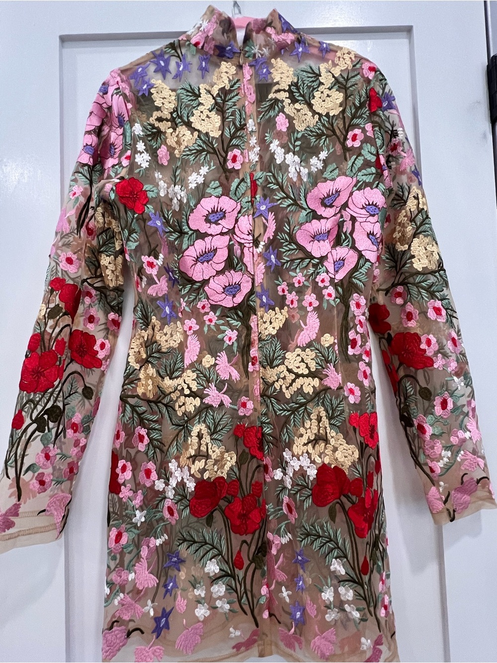 Sheer Floral Embroidered Long-Sleeve Dress - Pink, Red & beige - Picture 5 of 5